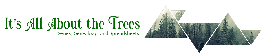 It's All About The Trees